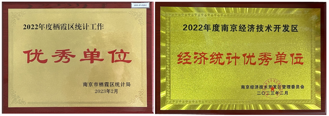 彩名堂获两项区级统计事情优异单位声誉称呼_彩名堂